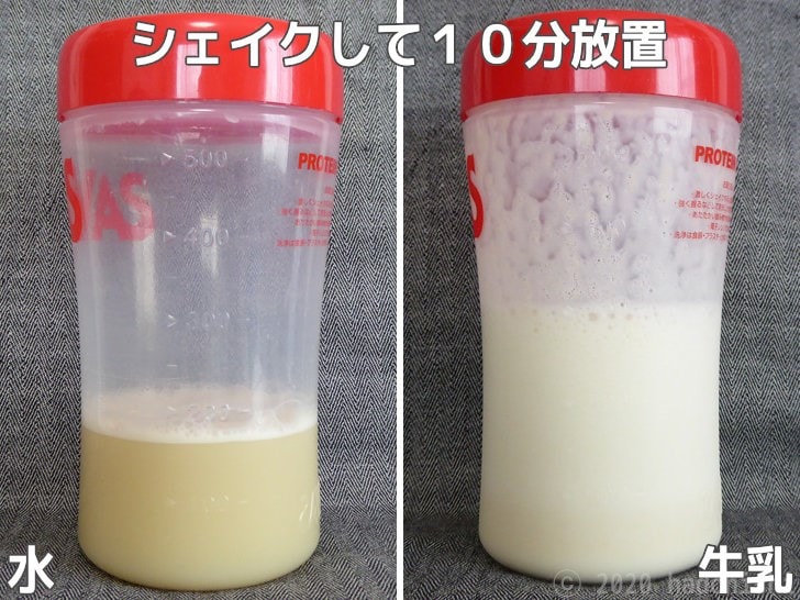 ハイクリアー WPCホエイプロテイン100 あっさりミルク味 をシェイクしてから10分放置した状態